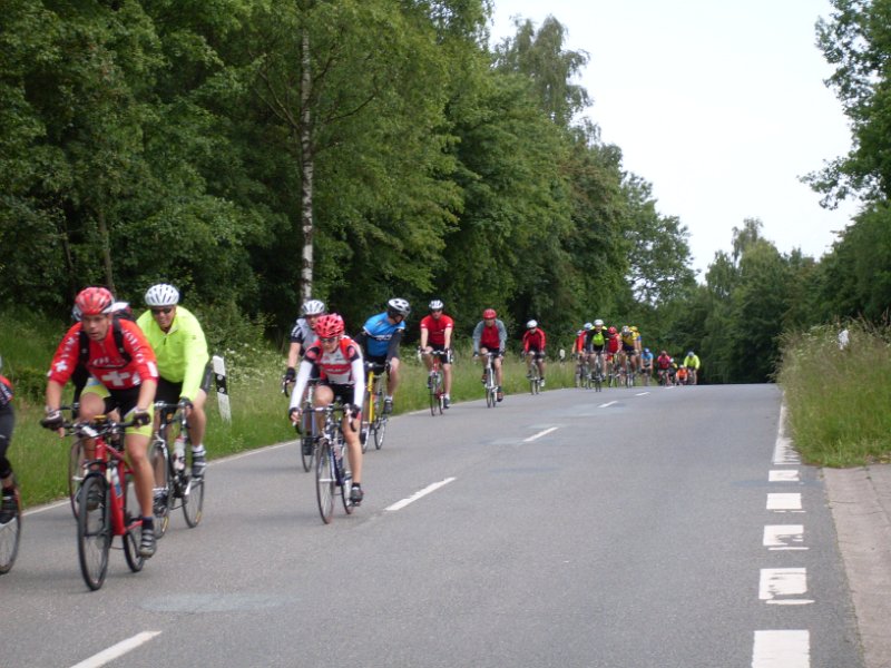 RTF Bad Oldesloe Peter 364